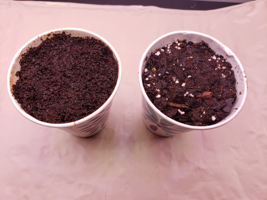 tiny balls in potting soil